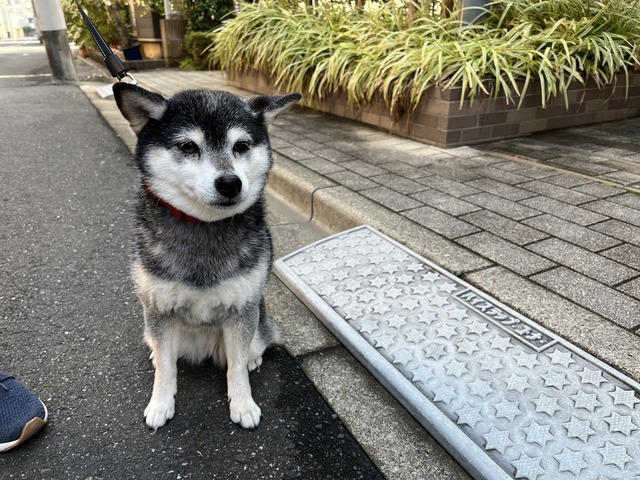 6F7CD8F5-79B7-48D4-9109-672EF7CA64F8_1_105_c