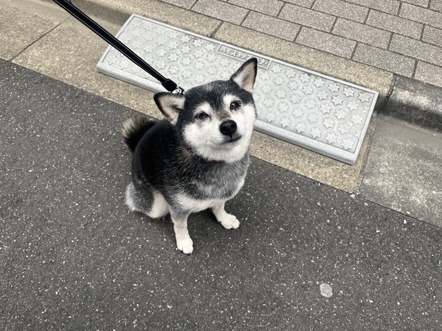 C3D6537F-85C8-4145-A36F-0EF40E7A2471_1_201_a