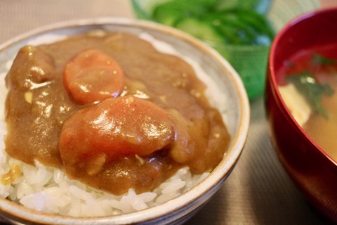 雪のラストカレーとゲーマーの聖地