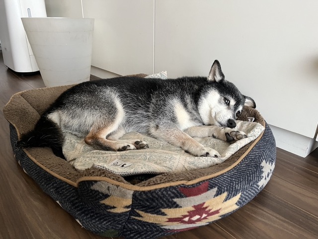 11F3A744-A917-4871-BB7E-E325A8863E43_1_105_c