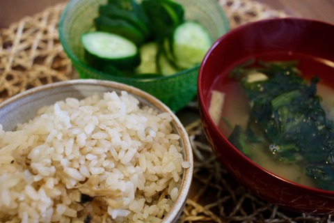 桜のドッグランと天狗の宴