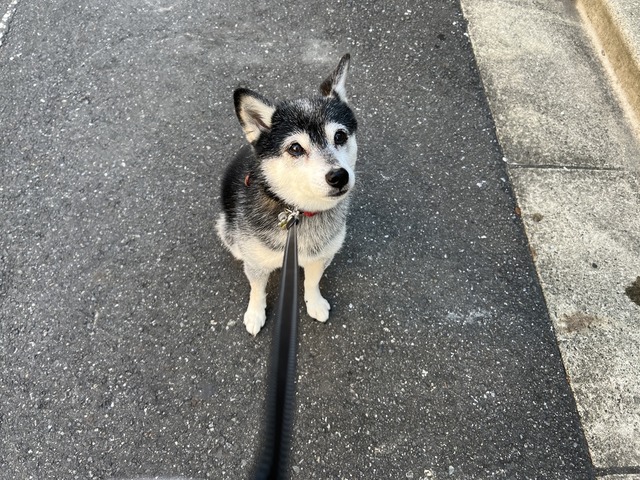 5D21B327-3500-46AA-A203-03D9C1A4FBDD_1_105_c