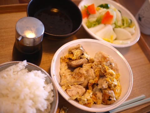 秋日和の浅草と豆柴の人類愛