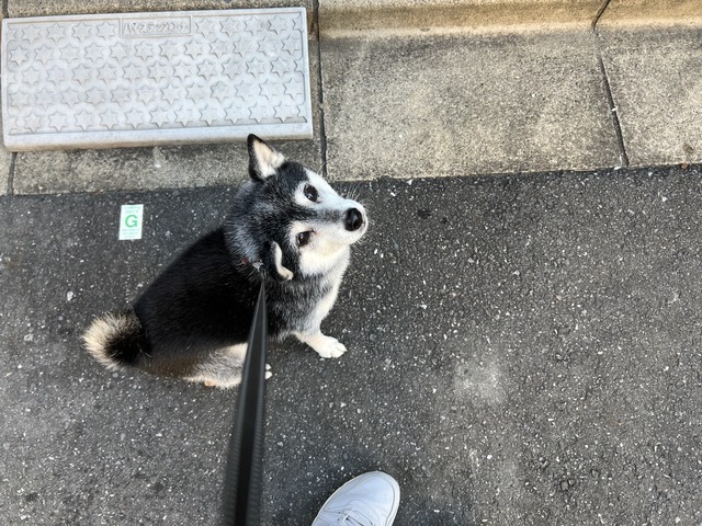 8369CB70-5CF3-4D57-9E21-BF637CEBC1FD_1_105_c