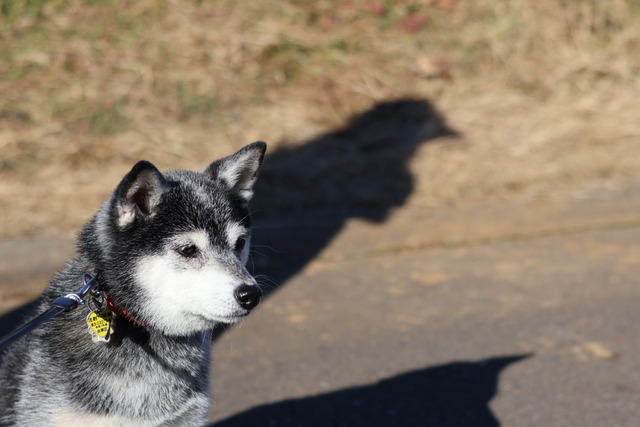 F78F0E44-6F74-4805-A552-7D39C1DDB90D_1_105_c