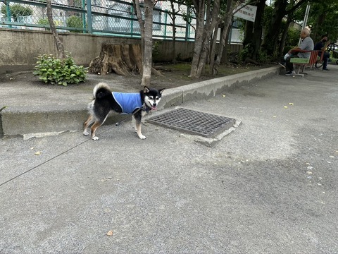 BC8D0190-0853-4D36-8D90-DBD94C12F916_1_105_c