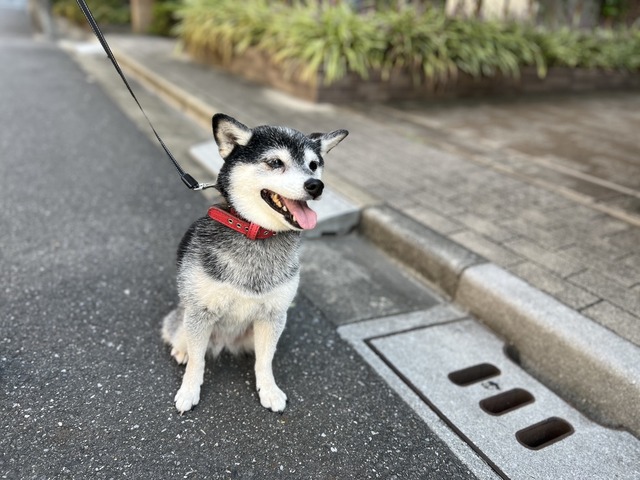 E8AE389A-CBF8-45B0-91EB-C6AD3BEC167E_1_105_c