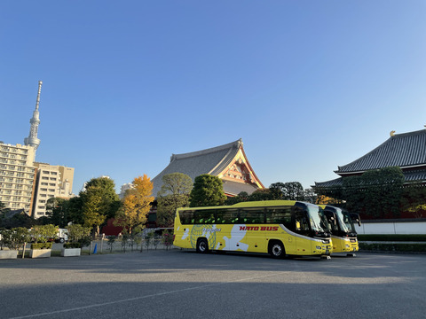 3B0591C2-0323-453E-B33E-8173E1590274_1_105_c