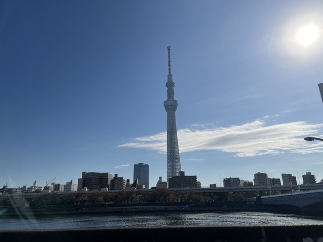 C478C8DA-F5A5-4619-B0D9-C504911F9855_1_105_c