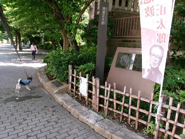 125B0715-023C-4988-831E-5BF1A9B3852B