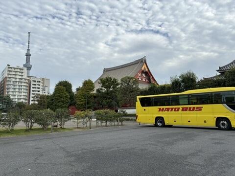 18283B36-67F6-4664-83E1-D62A2B070495_4_5005_c