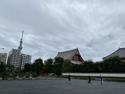 E5463747-7A09-43AF-AAF0-12728459FA23_1_105_c