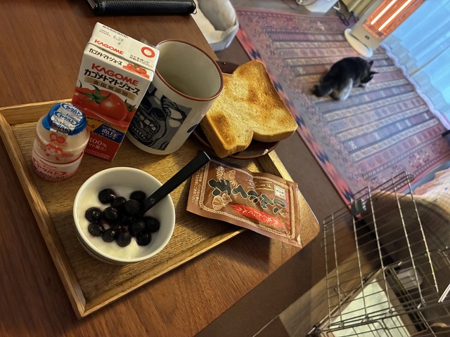 1915E1A7-031F-4655-8382-2A68E8C24E8E_1_201_a