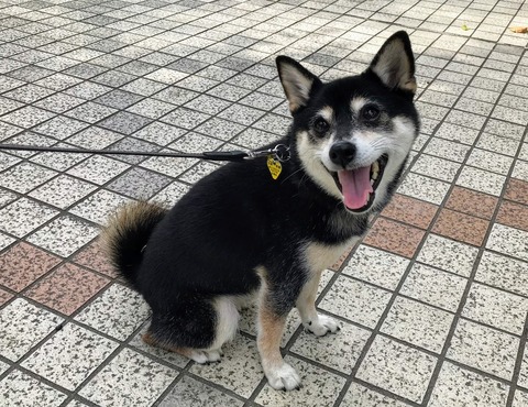 83BD690D-97FC-4E1F-B34E-2DB170B90940