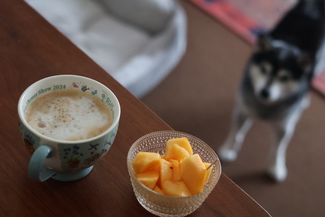 5FCD5C15-2D36-48C4-AE9C-91B2766279CE_1_105_c