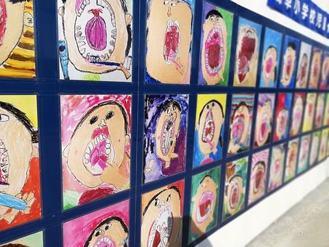 IMG_20181220_114828 (1)