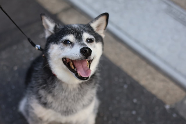 34647109-4ACA-4296-B183-955C6D037870_1_105_c