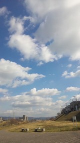 810c8471.jpg