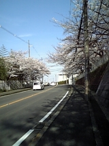 914473b2.jpg