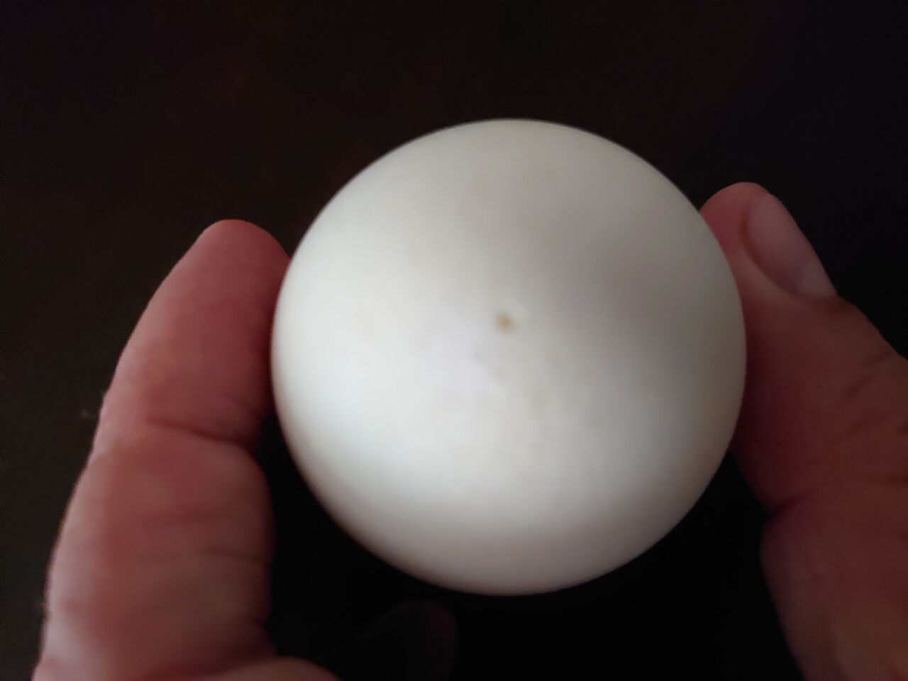 ゆで卵 道楽オヤジのblog