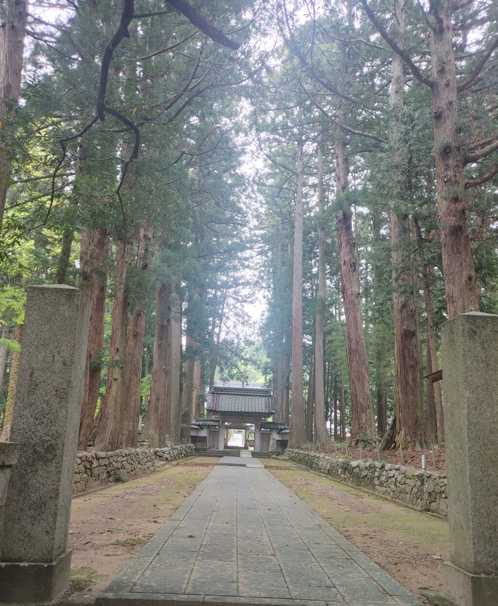 パワースポットへ！栂並木が美しく新鮮！上市町の眼目山 立山寺