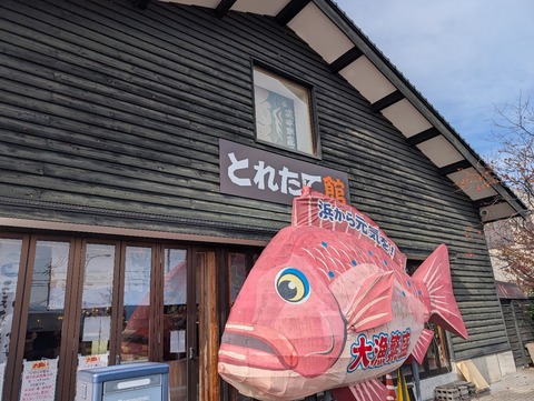 PXL_20251123_022126402