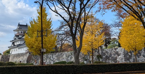 PXL_20251117_034813232