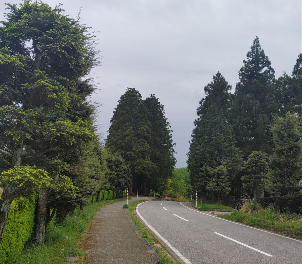 パワースポットへ！栂並木が美しく新鮮！上市町の眼目山 立山寺