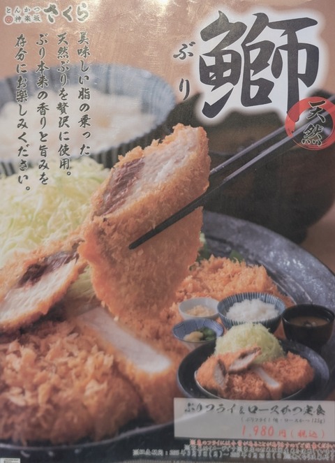 PXL_20250412_041436448~2