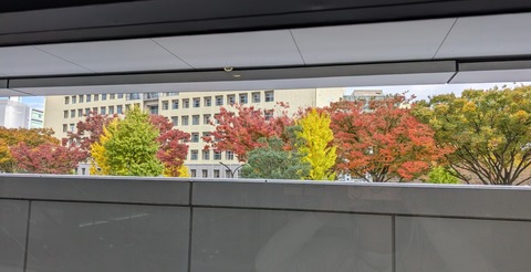 PXL_20251111_035524242