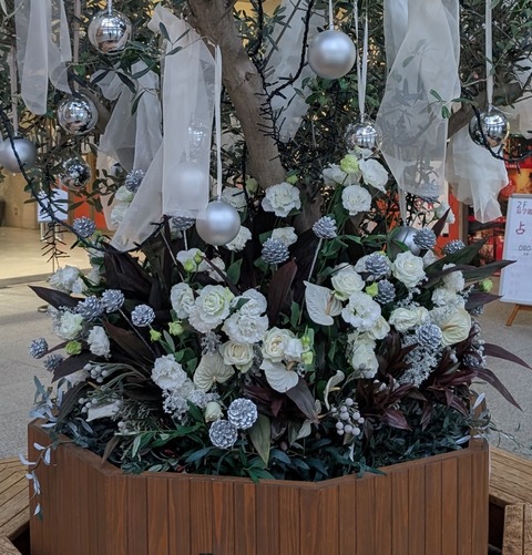 PXL_20251202_233051374