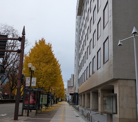 PXL_20251125_034152568