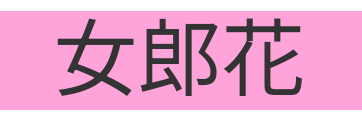 Screenshot_20250427-195433