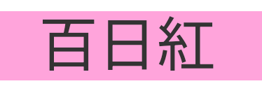 Screenshot_20250427-195433~3