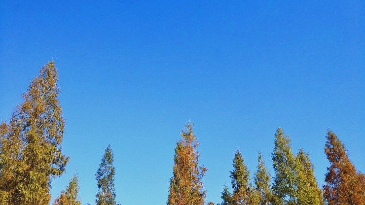 どこまでも青い空 好き 楽しい 古い