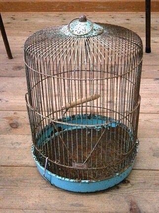 古い鳥かご 好き 楽しい 古い