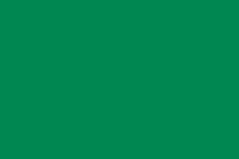 2000px-Flag_of_the_Sokoto_Caliphate.svg[1]