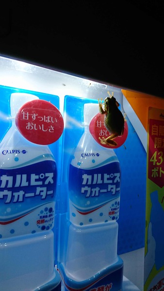 C565D9DD-CD1C-4C31-86D7-E47516EEFE87