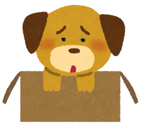 pet_suteinu[1]