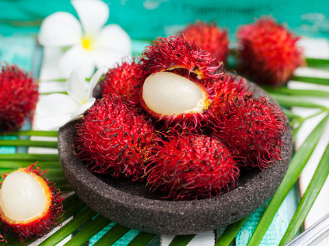 8013_nangokuhuru-tsu3_hosei[1]