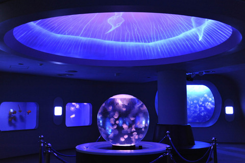 dac75677df079a7c94aac9c75497cde8[1]