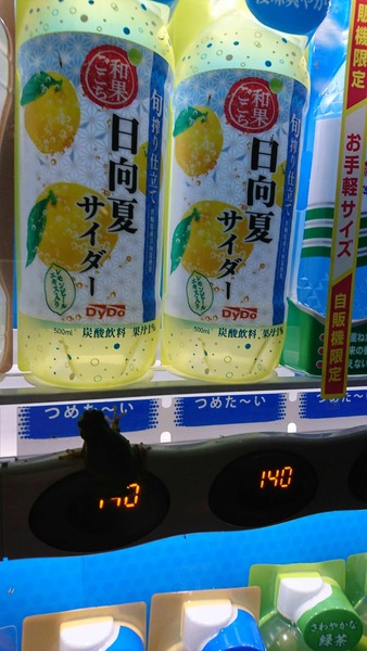 0199459F-7BB2-42DA-916B-8F1134D81283