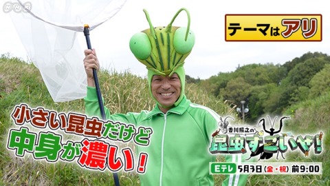 konchu_sugoize[1]
