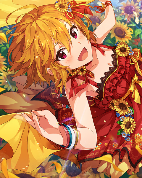 1530252836011_zi5yk0et