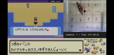 ペットの魚でポケモンクリアとかいう今youtubeで最も熱い企画 ごちゃまぜオールマイティ ペットの魚でポケモンクリアとかいう今youtubeで最も熱い企画 ごちゃまぜオールマイティ