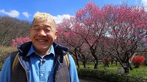 tabishitegomen[1]
