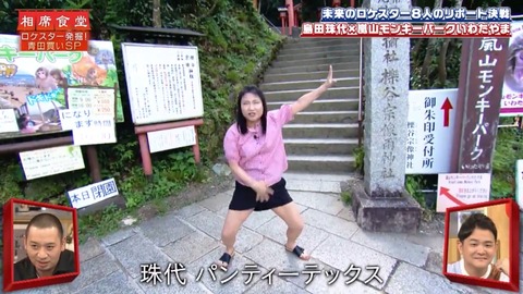 o1080060814821067089