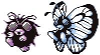 ポケモンのバタフリーとモルフォンが入れ替わった説ってマジだよな ごちゃまぜオールマイティ
