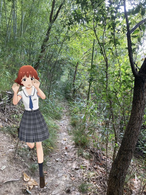 no title