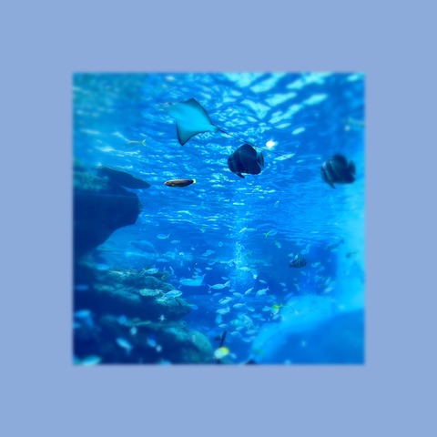 F2A25A46-8B8C-4130-8214-C45E5E82CFEE